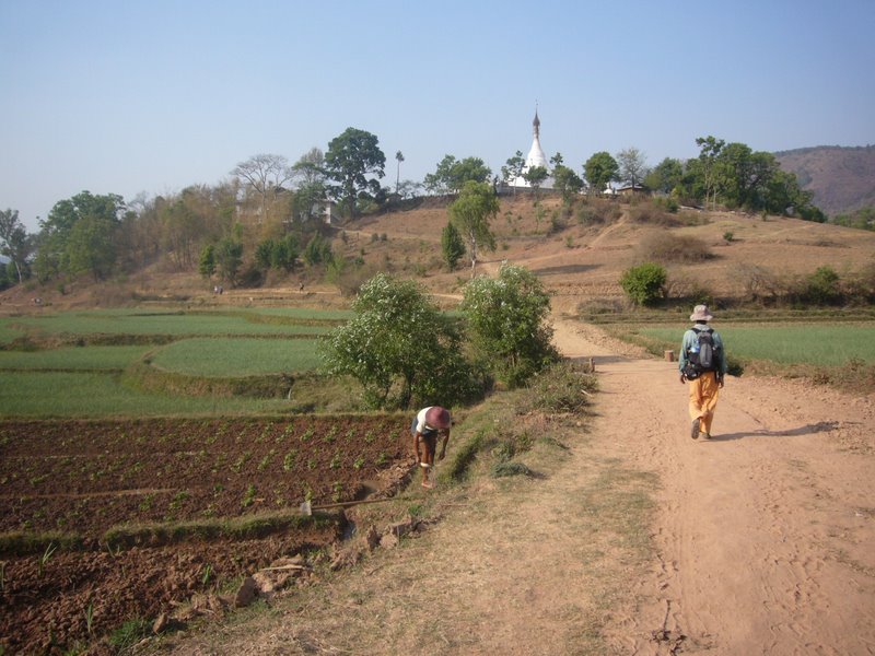 Travel - Myanmar - Kalaw Shan - Trek To Second Village